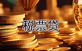 广安税票贷